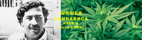 мдпв Краснотурьинск
