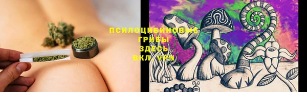 мдпв Краснотурьинск