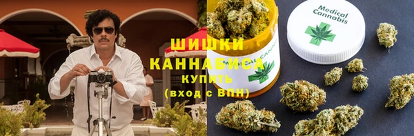 прущие грибы Чегем