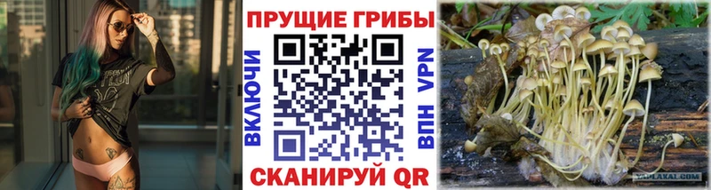 Псилоцибиновые грибы MAGIC MUSHROOMS  Североморск 